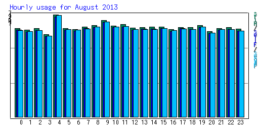 Hourly usage for August 2013